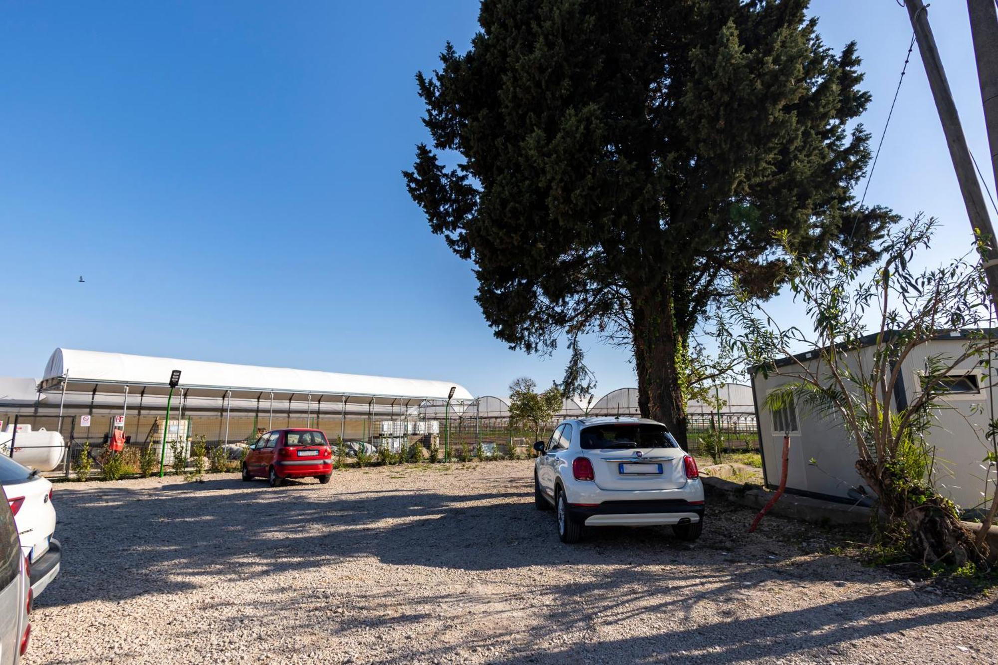 Cientopera Suite Rooms Pontecagnano Faiano Exterior foto